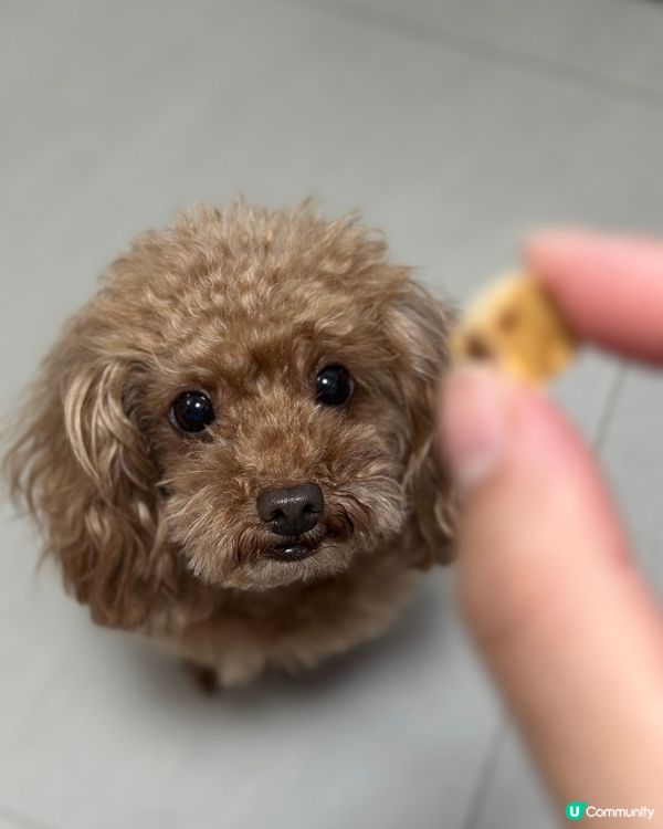金睛火眼