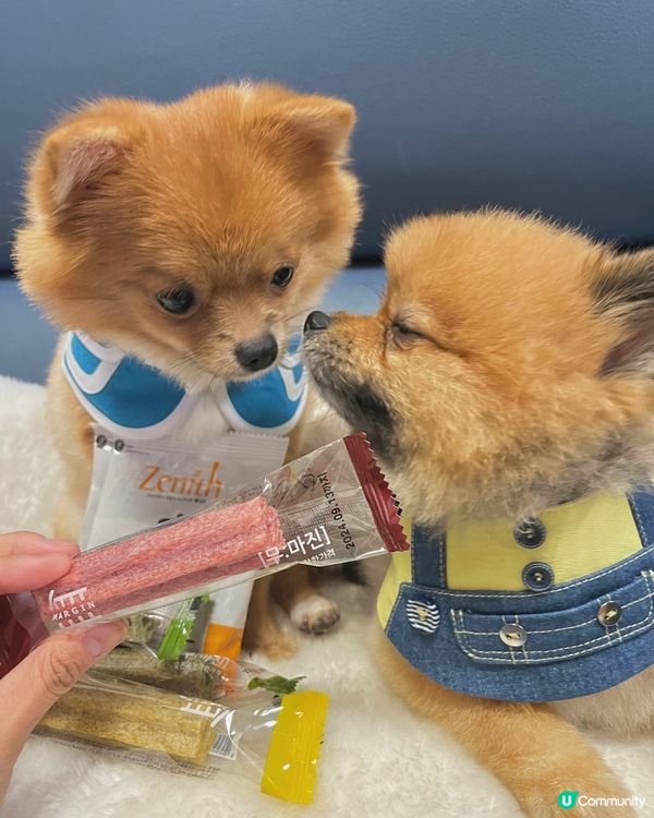 Zenith韓國半濕軟糧及MU:MARGIN潔齒棒