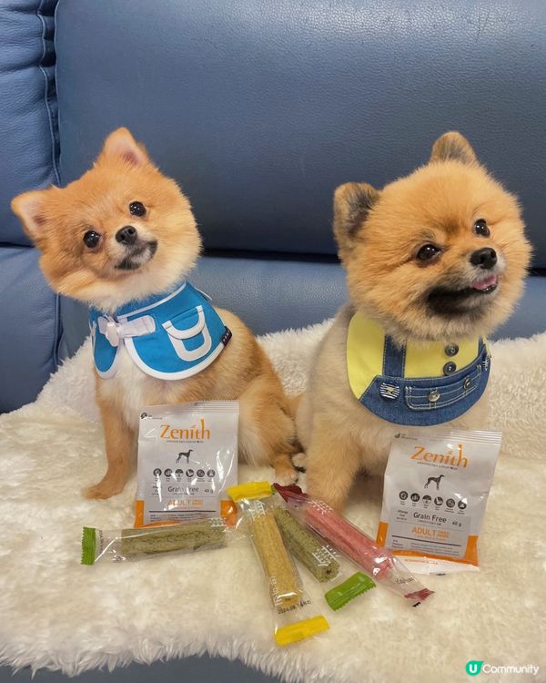 Zenith韓國半濕軟糧及MU:MARGIN潔齒棒