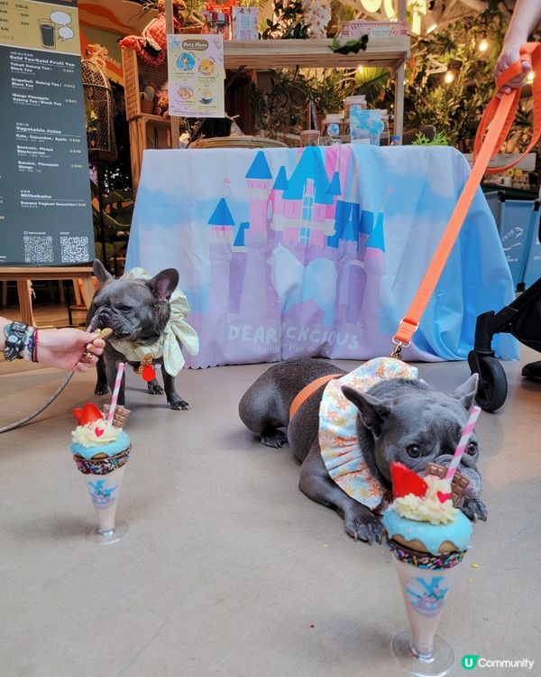 同朋友仔去食Tea打卡 😋冬甩🍩奶昔#狗狗必殺技#2023日...