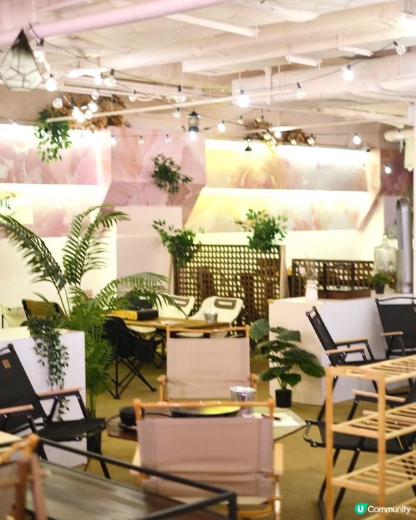 新張優惠：露營風 x 滋補花膠雞鍋餐