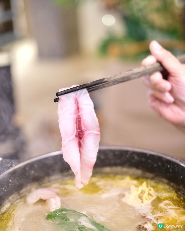 新張優惠：露營風 x 滋補花膠雞鍋餐