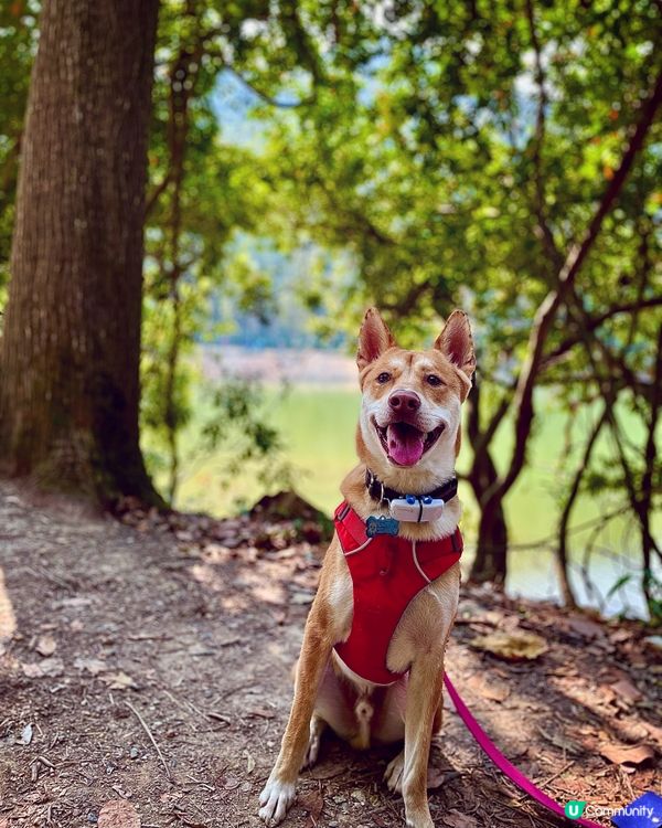 happy holiday  笑到個口幾大🤣😂