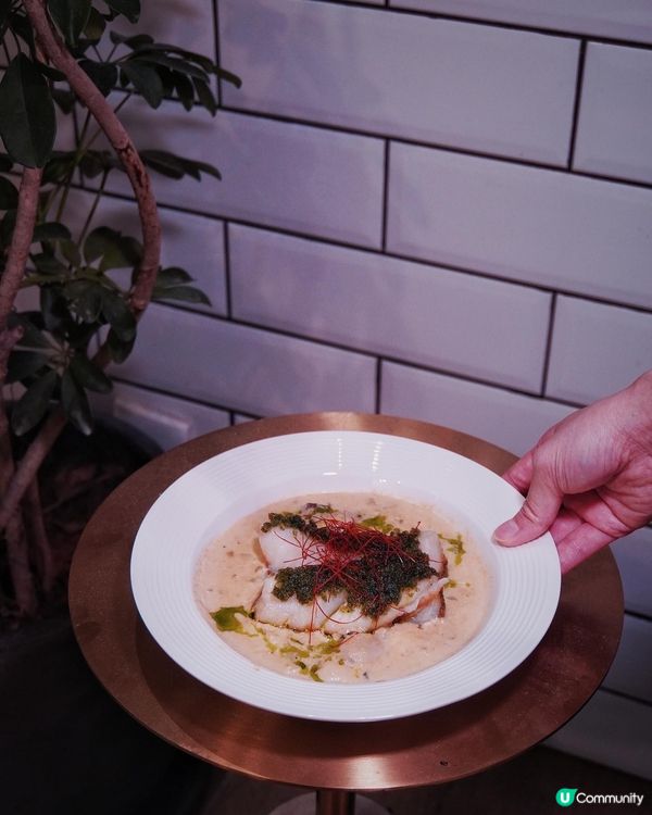 迷你毛：深水埗的創意西式料理