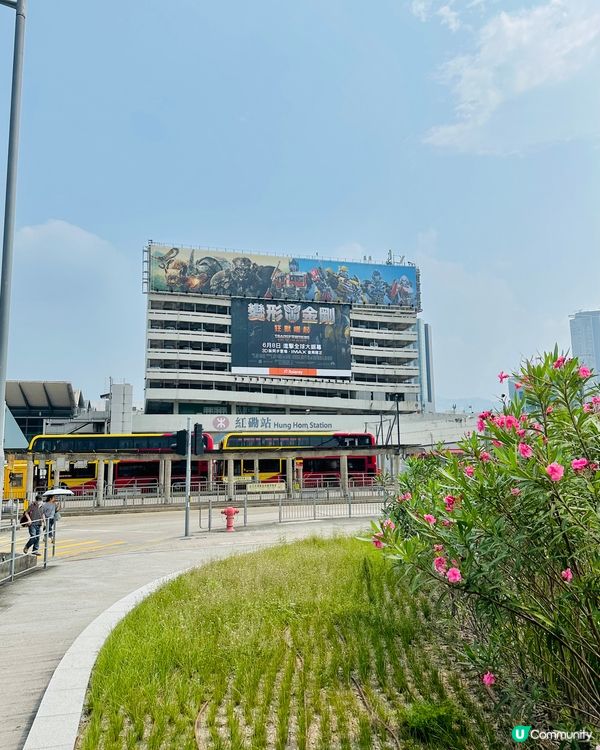 變形金剛:狂獸崛起