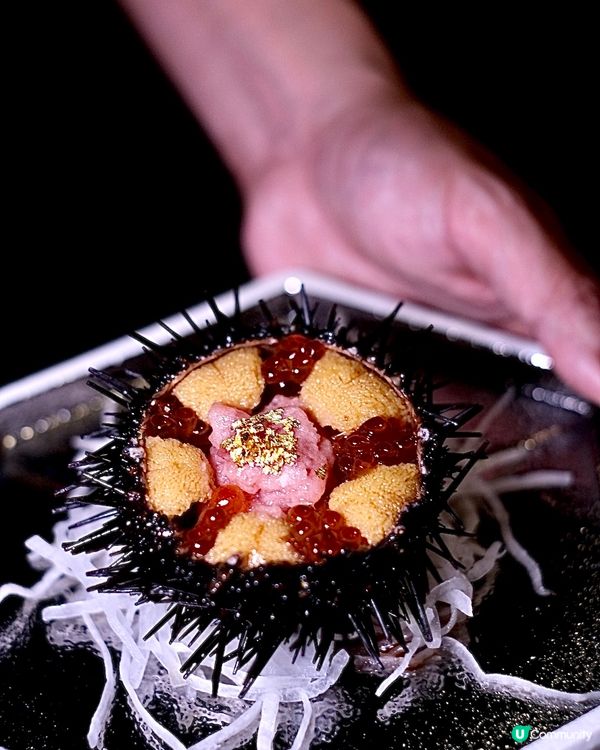 發掘紅磡黃埔日本料理