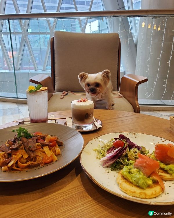 山頂pet friendly cafe