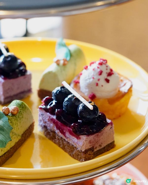 【灣景廳 ✦ 🦄「繽紛果漾盛會」下午茶套餐 🌈✨】