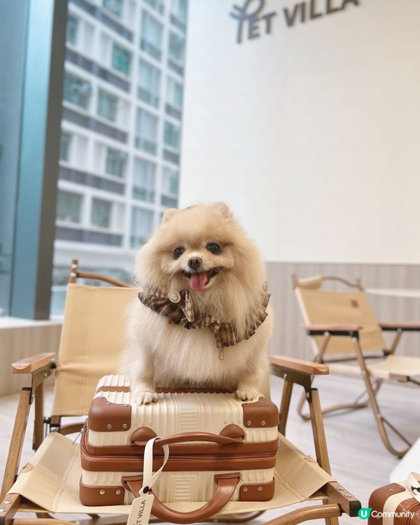 Pet Villa 全新何文由旗艦店開幕！