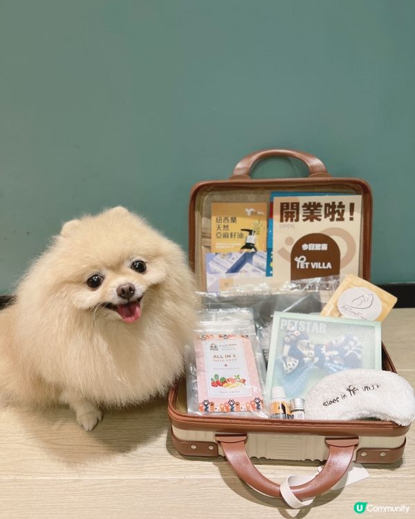 Pet Villa 全新何文由旗艦店開幕！