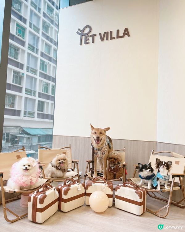 Pet Villa 全新何文由旗艦店開幕！