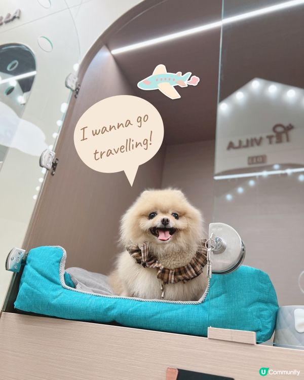 Pet Villa 全新何文由旗艦店開幕！