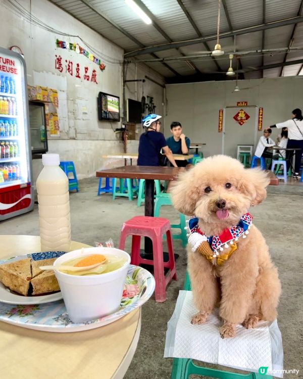 #社群毛範生 笨笨報料🐩去食豆腐花