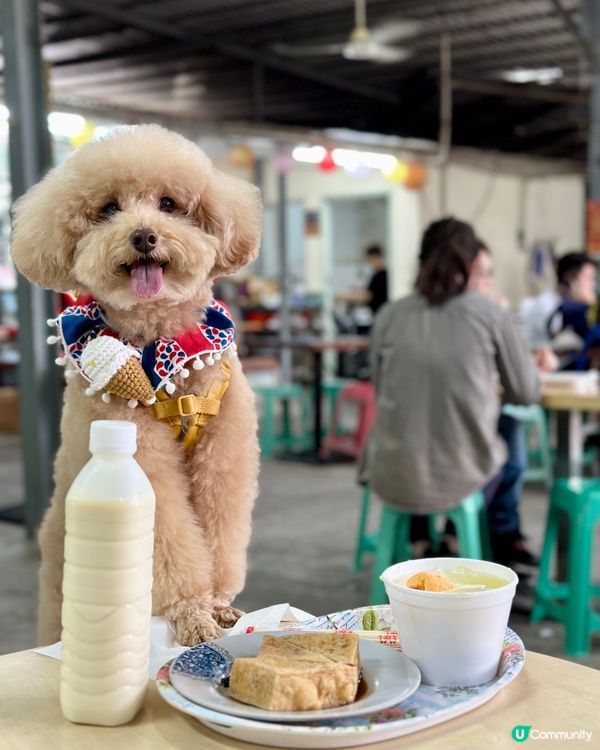 #社群毛範生 笨笨報料🐩去食豆腐花