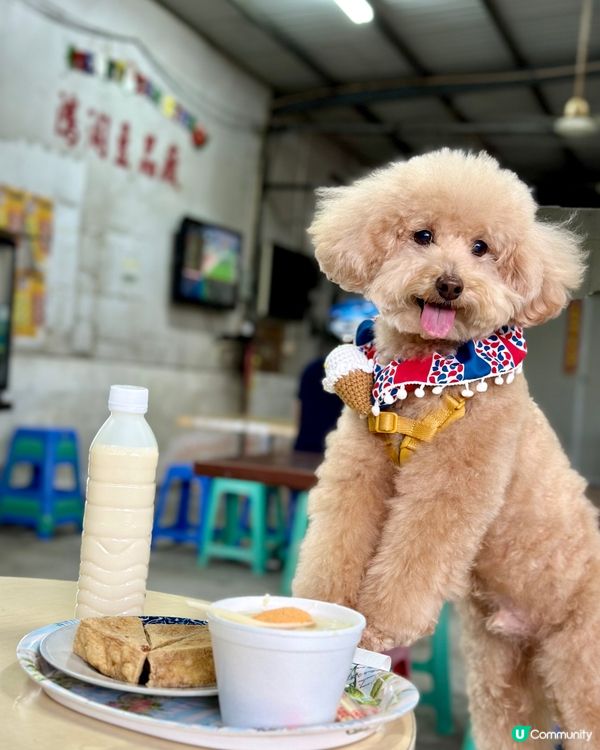 #社群毛範生 笨笨報料🐩去食豆腐花