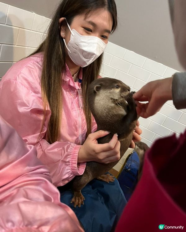 東京原宿超治愈水瀨體驗館！