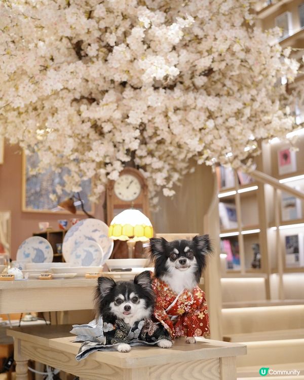 喫茶。一間好靚和風裝修嘅餐廳