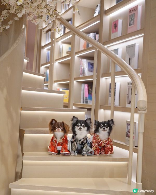 喫茶。一間好靚和風裝修嘅餐廳