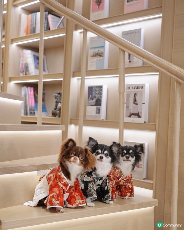 喫茶。一間好靚和風裝修嘅餐廳