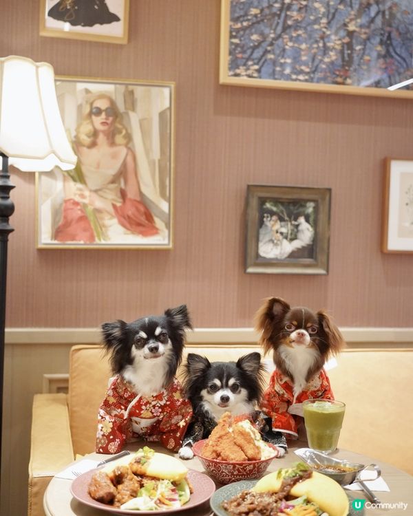 喫茶。一間好靚和風裝修嘅餐廳