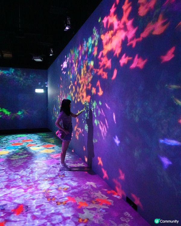 《富衛保險 10 周年呈獻「teamLab 共創!未來園」》