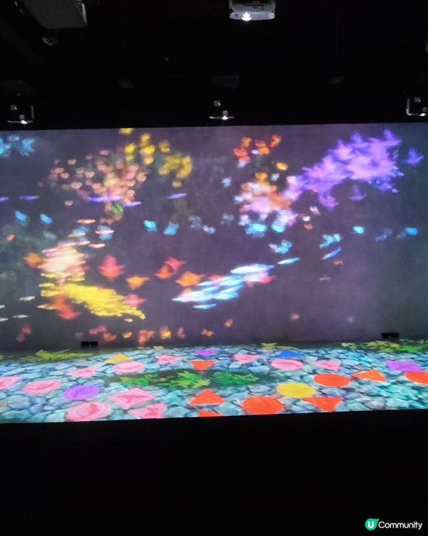 《富衛保險 10 周年呈獻「teamLab 共創!未來園」》