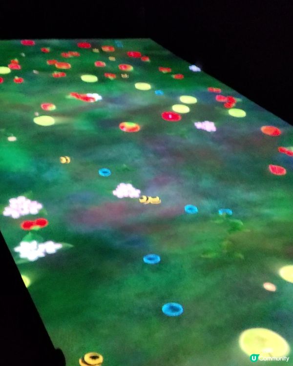 《富衛保險 10 周年呈獻「teamLab 共創!未來園」》