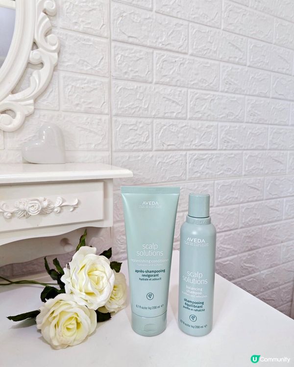 ［煥活年輕髮肌］AVEDA🫶🏻頭皮抗衰老系列