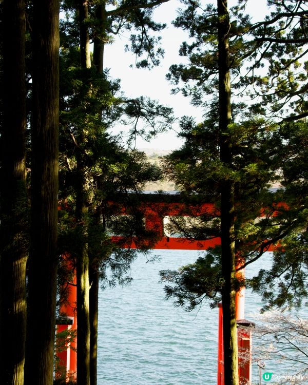 蘆之湖邊的鳥居⛩️