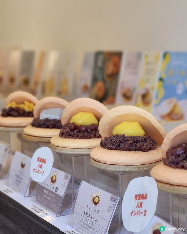 超治癒！！即製蒙布朗銅鑼燒 🌰 +手信超好買