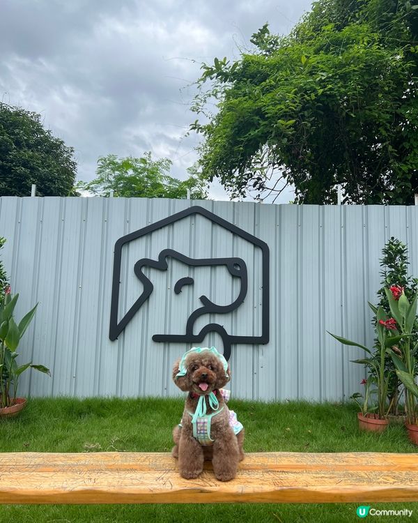 狗狗好去處🐾 有得跑有得游水 仲有冷氣同野食 正呀！