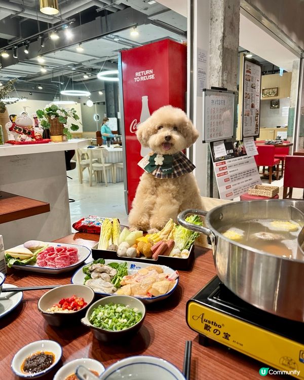 笨笨帶你打邊爐🍲