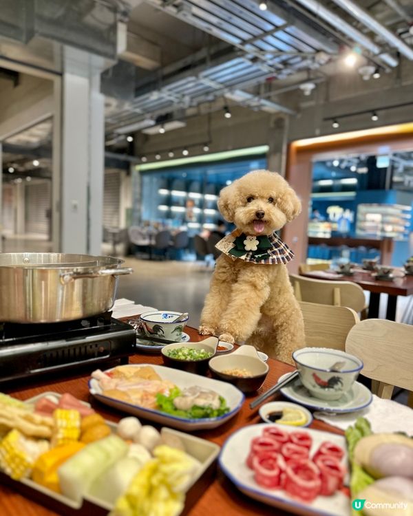 笨笨帶你打邊爐🍲