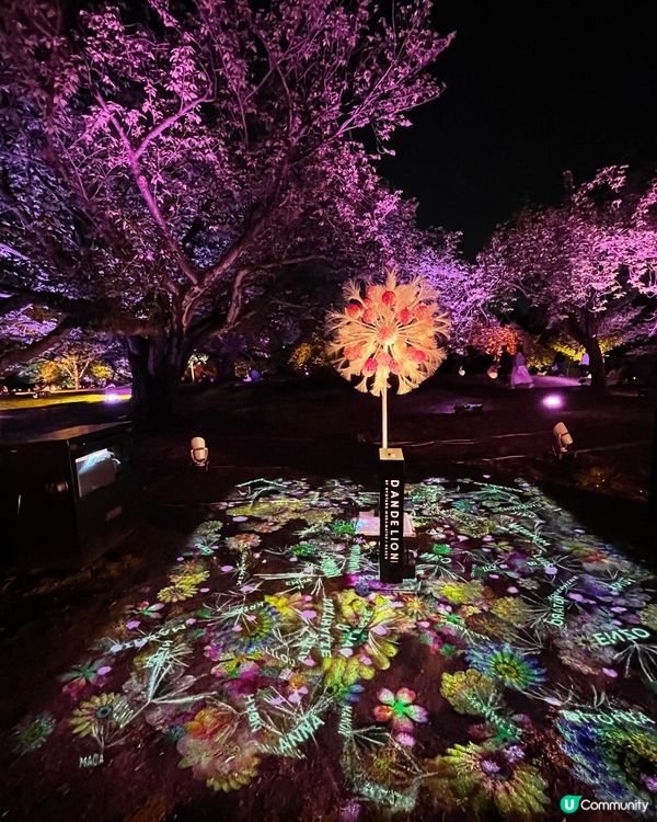 4/2023～感覺被騙了