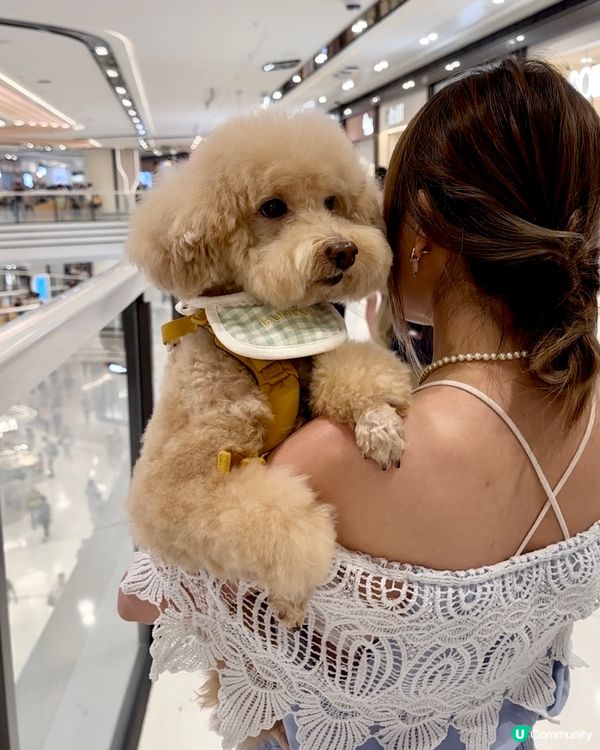 一個要排隊嘅新商場究竟有咩玩？ The Wai圍方