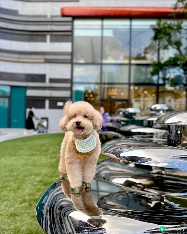 一個要排隊嘅新商場究竟有咩玩？ The Wai圍方