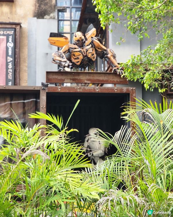 穿越廣州番禺😆