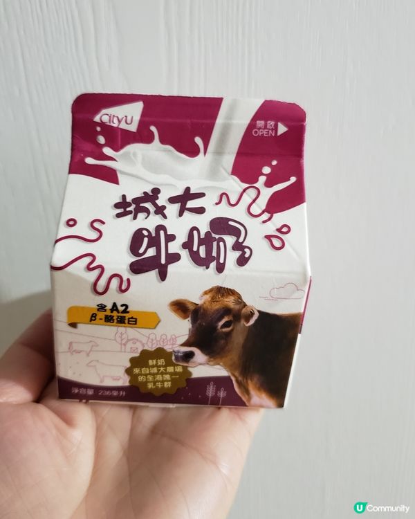 城大自家牛奶，好飲