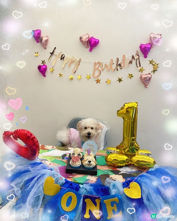 同Latte豬過嘅第一個生日🦊