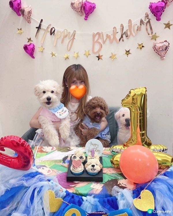 同Latte豬過嘅第一個生日🦊