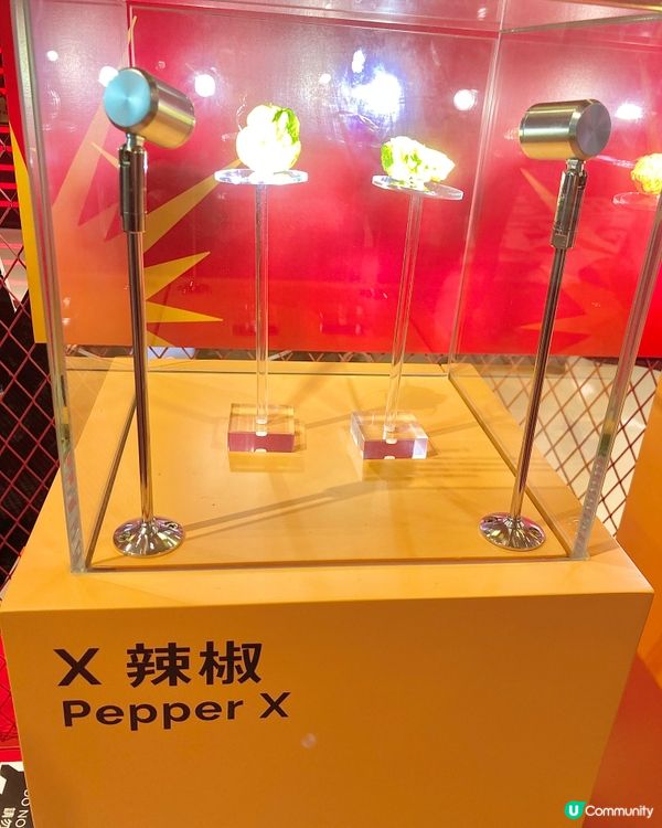 打卡熱點📸最辣文化展@K11 Art Mall