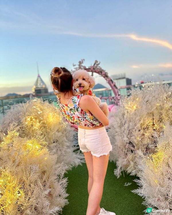 Hi Barbie🩷狗狗都去得 