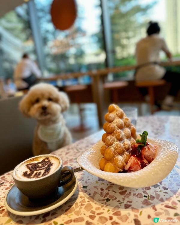 平靚正餐廳🍯精選推介畀🐩🐾🐾