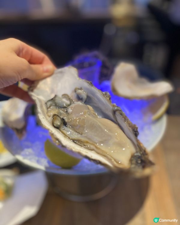 生蠔控必去🦪Chill正日本蠔居酒屋🇯🇵