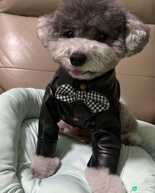 媽媽太忙😝好耐冇update🐨近況