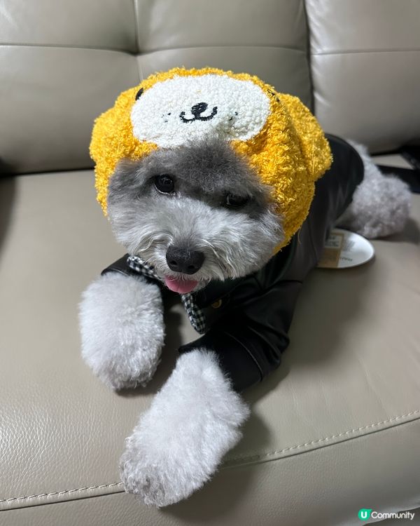 媽媽太忙😝好耐冇update🐨近況