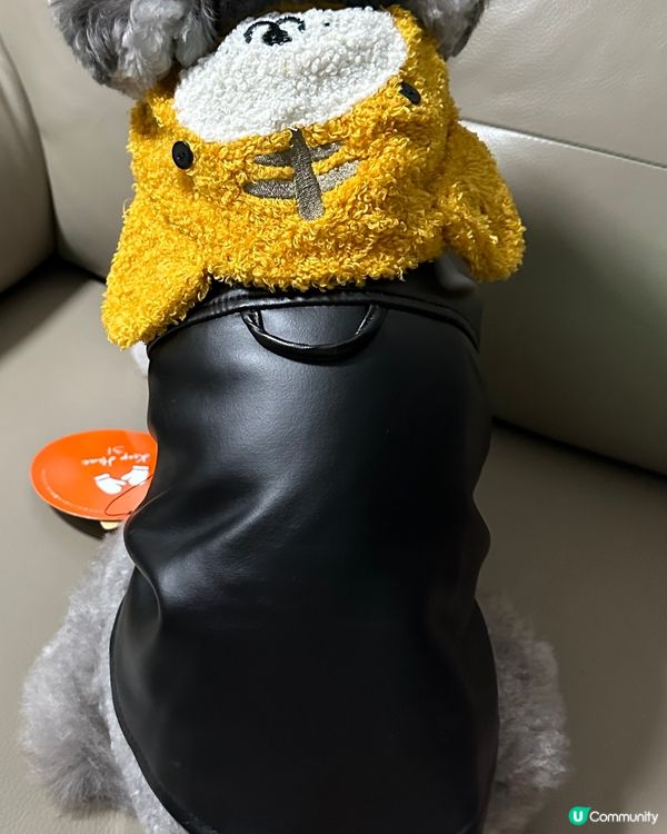 媽媽太忙😝好耐冇update🐨近況