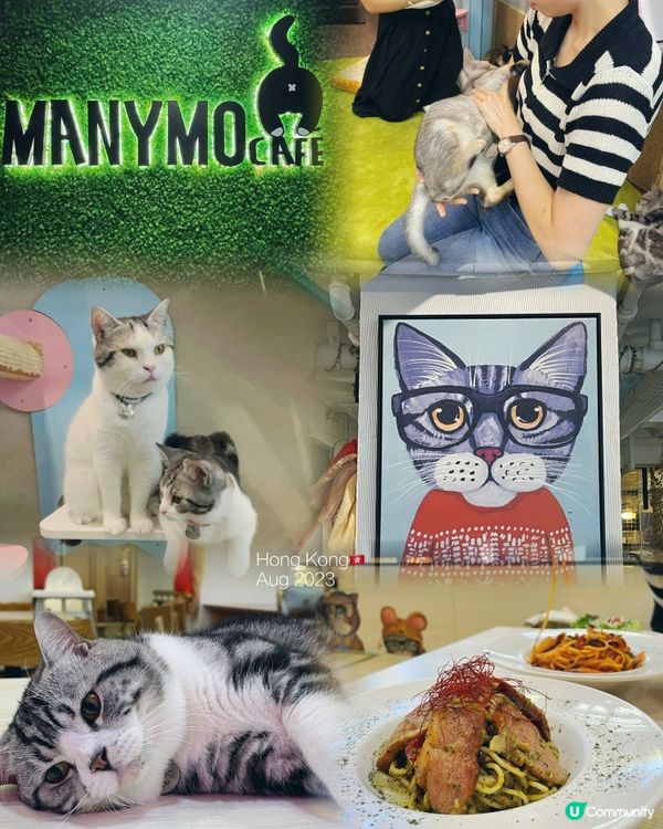 可愛貓貓cafe
