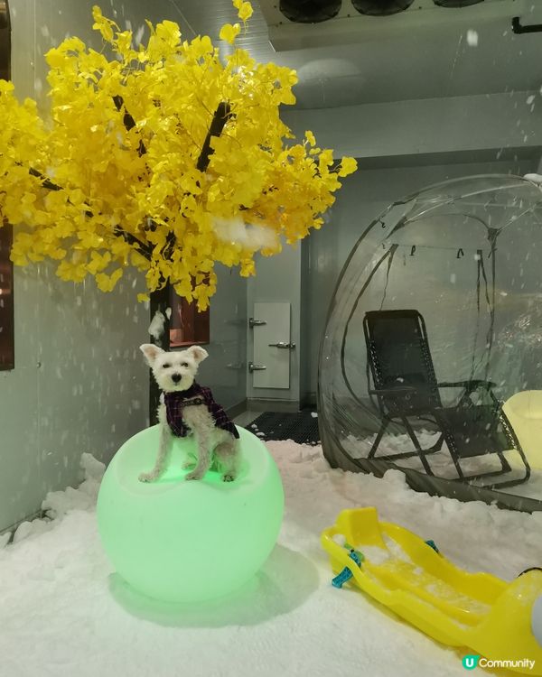 香港都有得玩雪❄️