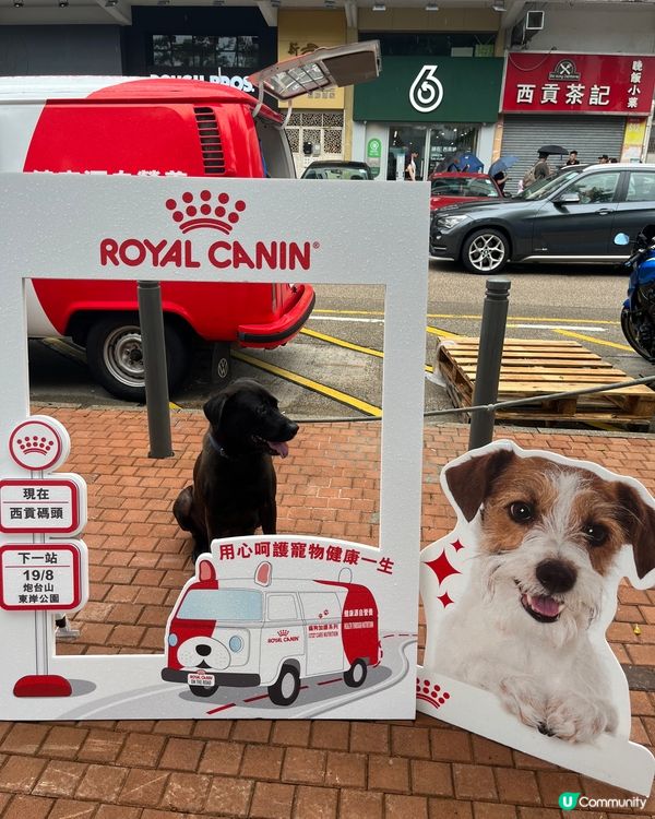 西貢Royal Canin 打卡💕